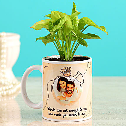 Karwa Chauth Coffee Mug & Plant:Buy Personalised Planter