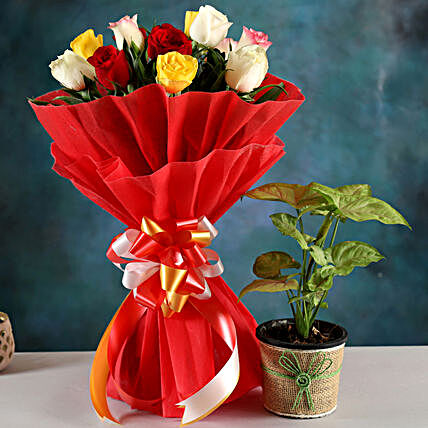Send Syngonium Plant And Rose Bouquet