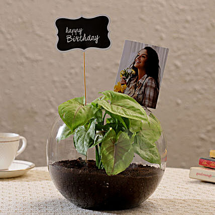 Send Personalised Birthday Plant Terrarium