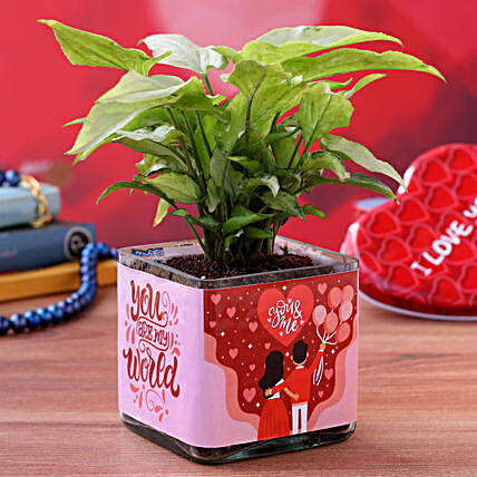 Syngonium Plant In You n Me Sticker Glass Vase:Buy Valentine's Week gifts