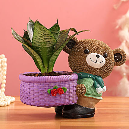 Sansevieria Plant In Brown Bear Basket Pot:Wildlife Art planters