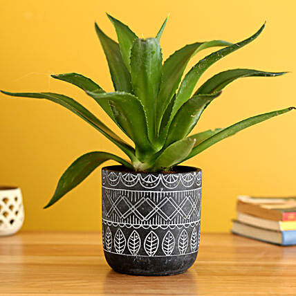 Lotus Cactus Plant In Abstract Print Pot