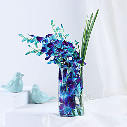 Lovely Orchids Dandella In Cylindrical Vase:Flower Arrangements