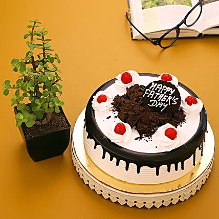Beautiful Plant Black Forest Cake Combo