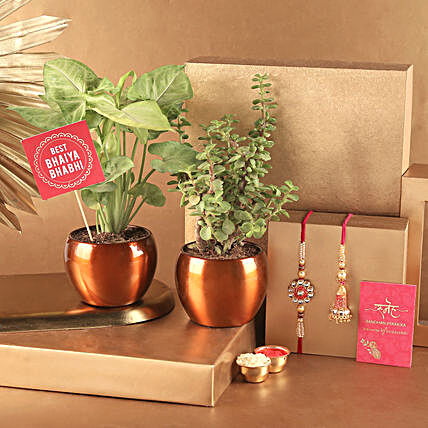 Bhaiya Bhabhi Rakhi Set N Plants:Buy Lumba Rakhi