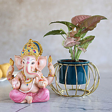 Syngonium Plant & Dhoti Ganesha Idol