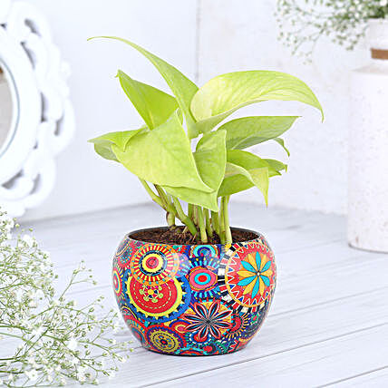Money Plant In Colourfull Rajwada Printed Pot Hand Delivery:Metal Planters
