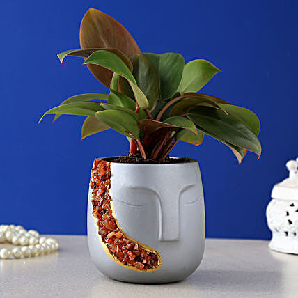 Philodendron Plant Silver and Carnelian Stones Face Pot:Plant Pots