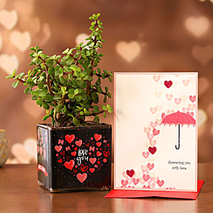 Jade Plant In Sticker Vase Greeting Card