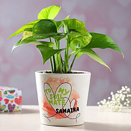 Money Plant Personalised Soulmate Vase