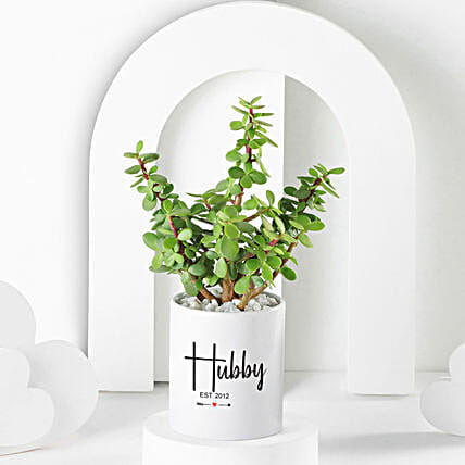 Jade Plant In Personalised Hubby Special Gift Mug-picture-14