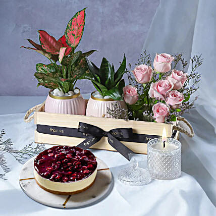 Blueberry Cheesecake N Natures Babies Gift Ensemble-picture-33