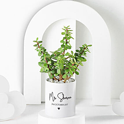 Jade Plant In Personalised Gift Mug For Husband-picture-36
