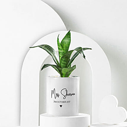 Sanseveiria Plant In Personalised Gift Mug For Wife