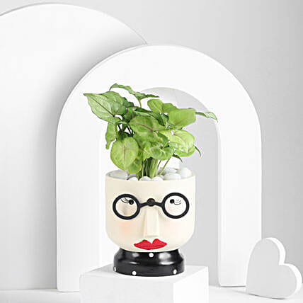 Quirky Miss Green Planter