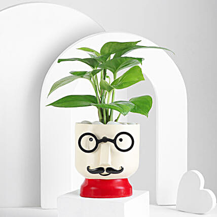 The Mustache Buddy Planter