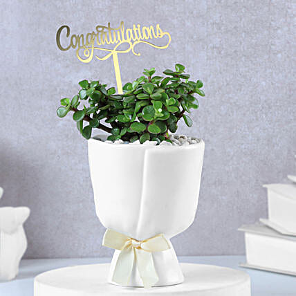 Lush Jade Prosperity Congratulatory Planter-image-32
