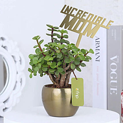 Incredible Mom Jade Plant Pot Gift-picture-12