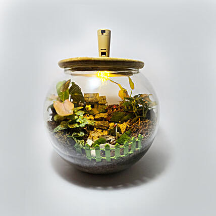 Plant N Prosper DIY Gift Kit-picture-26