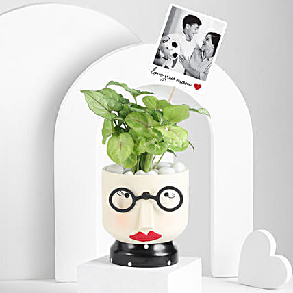 Potted Syngonium Gift Combo for Moms Day-picture-25