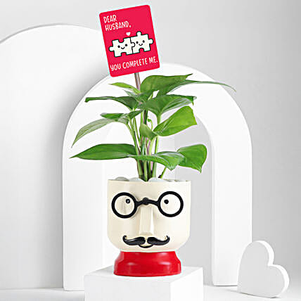 Charming Green Buddy Gift Set-picture-35