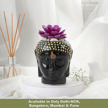 Zen Vibes Echeveria in Black-picture-10