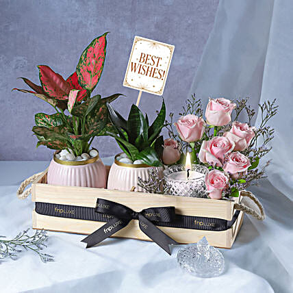 Botanical Beauty Crate with Candle-picture-32
