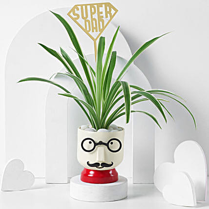 Super Dads Green Desk Buddy-picture-35