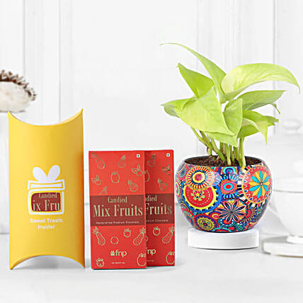 Green Gift with Chocolate Combo