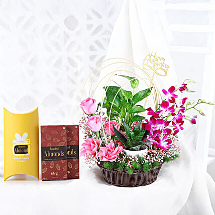 Sweet Leafy Anniversary Surprise Gift-image-4