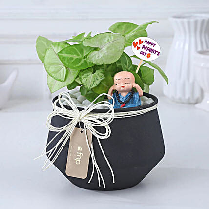 Resin Pots with Green Spider Plant-picture-37