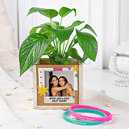 Lush Green Money Plant with Organiser for Friendship day-image-34