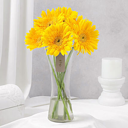 Sunny Gerbera Bouquet for Friendship-picture-32