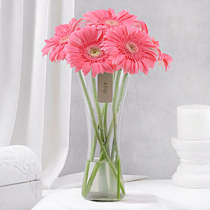 Blushing Beauty Gerbera Arrangement