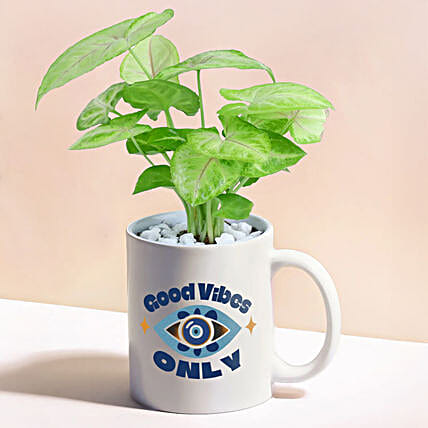 Good Vibes Only Syngonium-image-47