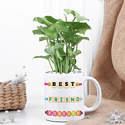 Forever Friends Green Plant-picture-25