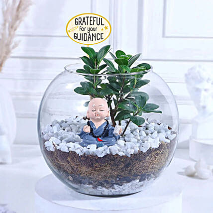 Teachers Day Green Ficus N Keepsake Gift-image-29