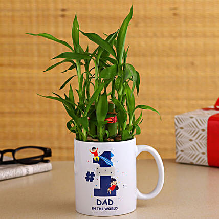 2 Layer Bamboo Plant In No 1 Dad Ceramic Mug Hand Delivery-picture-19