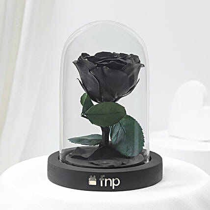 Black Amour Forever Rose-image-7