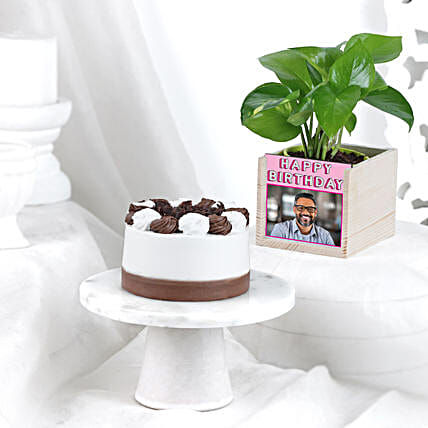 Black Forest Cake N Money Plant Combo-picture-23