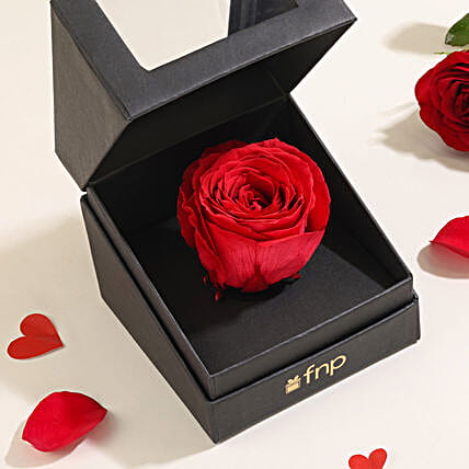 Crimson Red Love Forever Rose-image-2