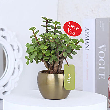 Evergreen Valentines Jade-picture-20