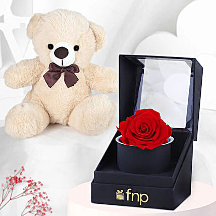 Forever Red Rose N Teddy combo