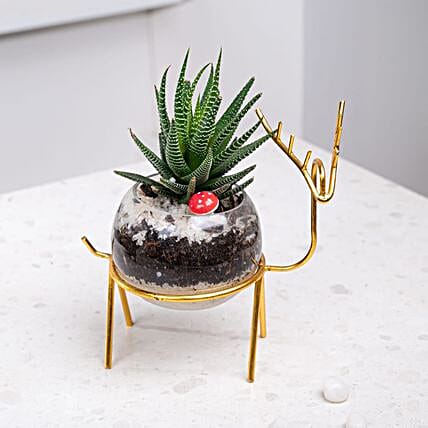 Glass Bowl Succulent Terrarium-picture-21
