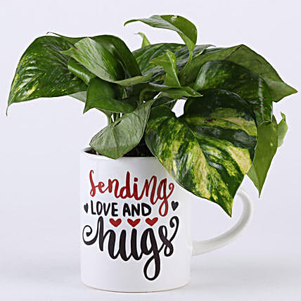 Money Plant In Love Hugs Pot-image-37