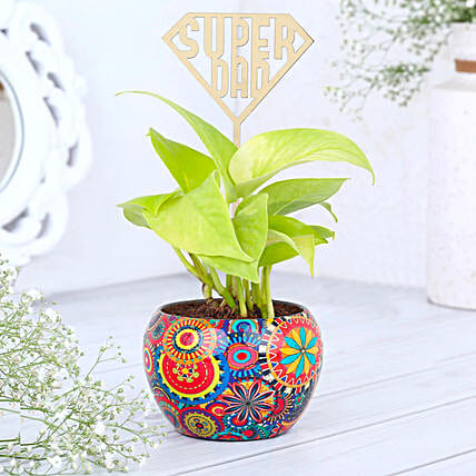 Money Plant Wishes for Super Dads-picture-37