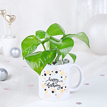 Radiant Money Plant Birthday Surprise-picture-11