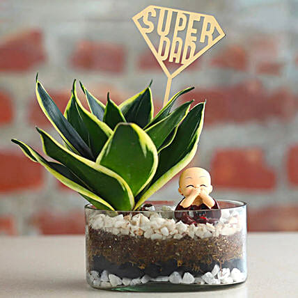 Sanseveria Bliss for Super Dads-picture-36