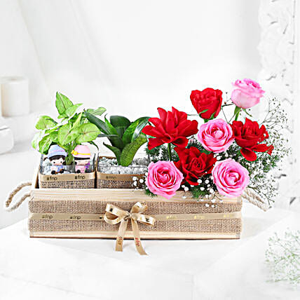 Serenade of Roses N Plants-picture-22