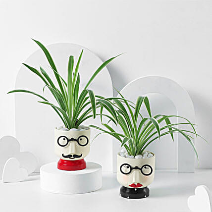 Soulful Spider Planters-image-14